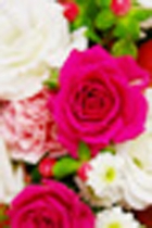 Ryouko　りょうこ