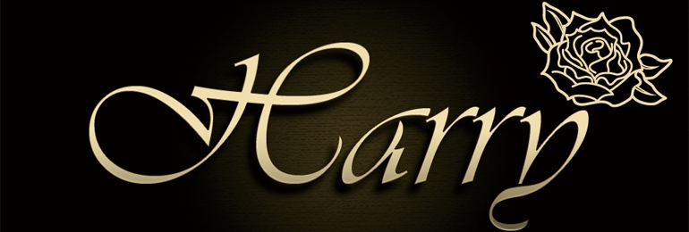 Harry -ハリー-